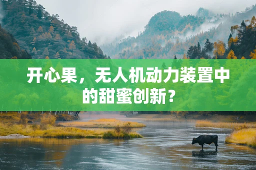 开心果，无人机动力装置中的甜蜜创新？
