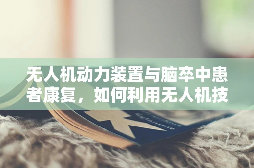 无人机动力装置与脑卒中患者康复，如何利用无人机技术提升康复效率？