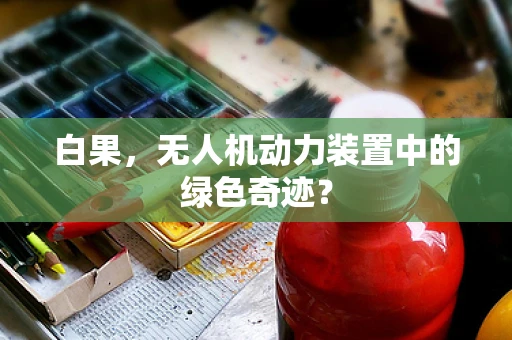 白果，无人机动力装置中的绿色奇迹？
