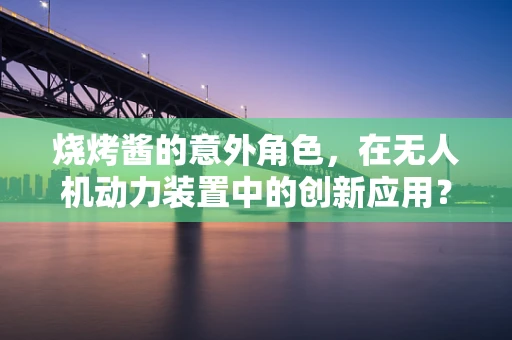 烧烤酱的意外角色，在无人机动力装置中的创新应用？