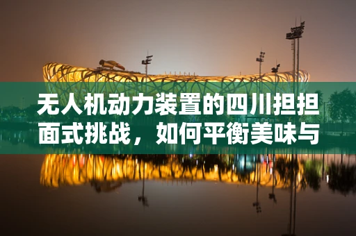 无人机动力装置的四川担担面式挑战，如何平衡美味与效率？