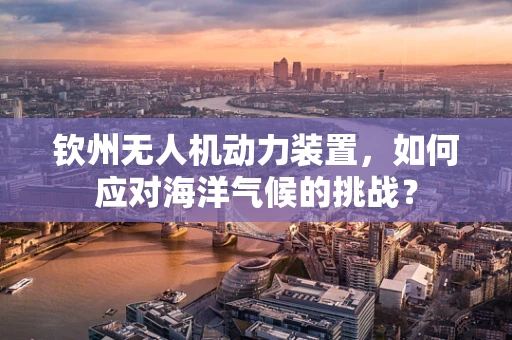 钦州无人机动力装置，如何应对海洋气候的挑战？