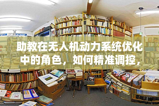 助教在无人机动力系统优化中的角色，如何精准调控，提升飞行效率？