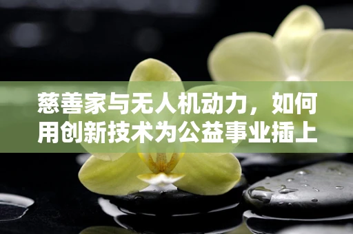 慈善家与无人机动力，如何用创新技术为公益事业插上翅膀？