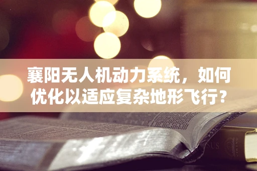 襄阳无人机动力系统，如何优化以适应复杂地形飞行？