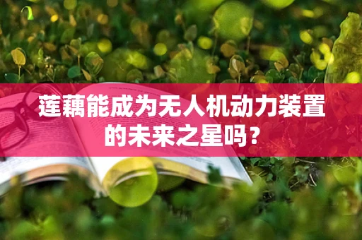 莲藕能成为无人机动力装置的未来之星吗？