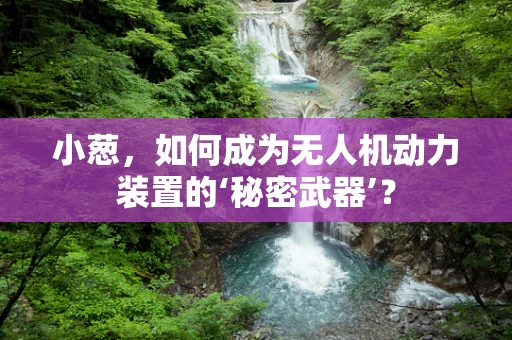 小葱，如何成为无人机动力装置的‘秘密武器’？
