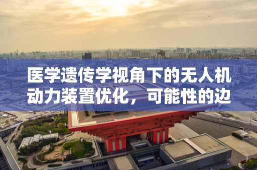 医学遗传学视角下的无人机动力装置优化，可能性的边界在哪里？