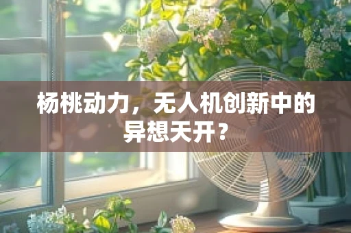 杨桃动力，无人机创新中的异想天开？