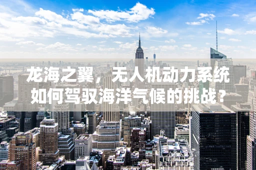 龙海之翼，无人机动力系统如何驾驭海洋气候的挑战？