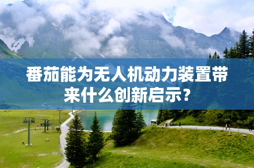 番茄能为无人机动力装置带来什么创新启示？