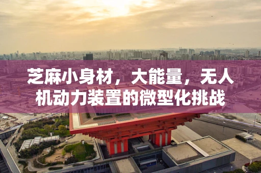 芝麻小身材，大能量，无人机动力装置的微型化挑战