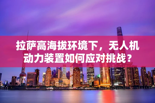 拉萨高海拔环境下，无人机动力装置如何应对挑战？