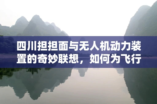 四川担担面与无人机动力装置的奇妙联想，如何为飞行器‘调味’？