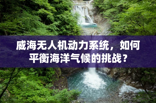 威海无人机动力系统，如何平衡海洋气候的挑战？