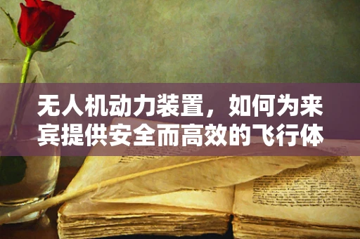 无人机动力装置，如何为来宾提供安全而高效的飞行体验？
