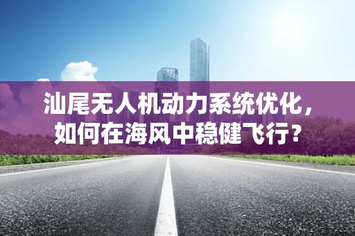 汕尾无人机动力系统优化，如何在海风中稳健飞行？