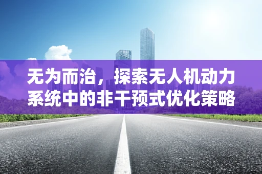 无为而治，探索无人机动力系统中的非干预式优化策略