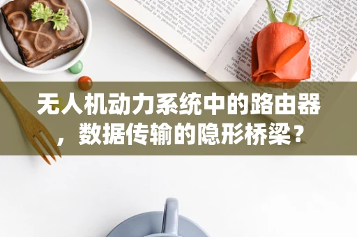 无人机动力系统中的路由器，数据传输的隐形桥梁？
