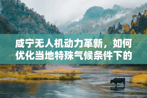 咸宁无人机动力革新，如何优化当地特殊气候条件下的动力装置效能？