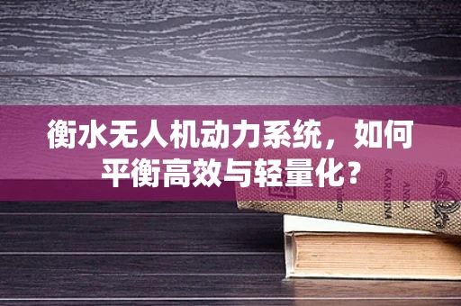 衡水无人机动力系统，如何平衡高效与轻量化？