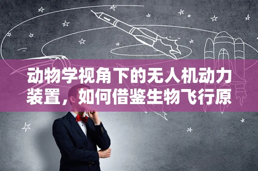 动物学视角下的无人机动力装置，如何借鉴生物飞行原理提升效能？