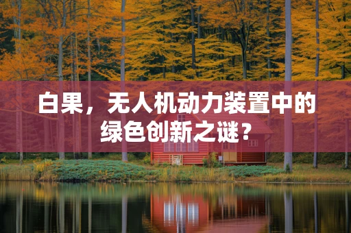 白果，无人机动力装置中的绿色创新之谜？