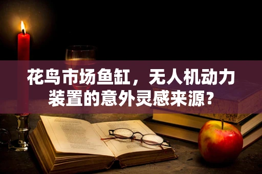 花鸟市场鱼缸，无人机动力装置的意外灵感来源？