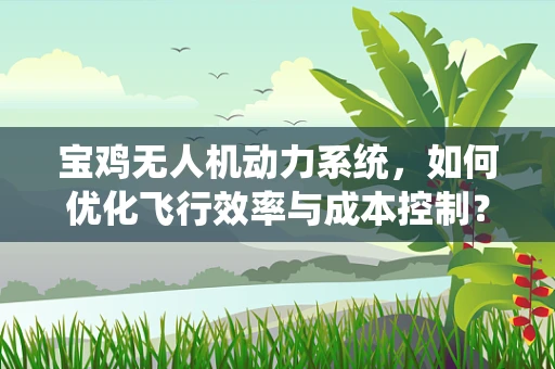 宝鸡无人机动力系统，如何优化飞行效率与成本控制？