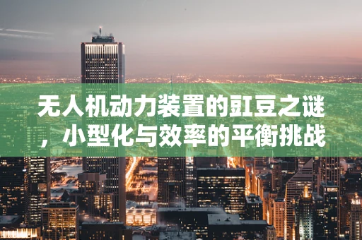 无人机动力装置的豇豆之谜，小型化与效率的平衡挑战