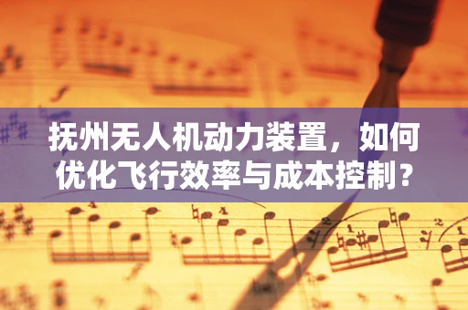 抚州无人机动力装置，如何优化飞行效率与成本控制？