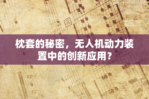 枕套的秘密，无人机动力装置中的创新应用？