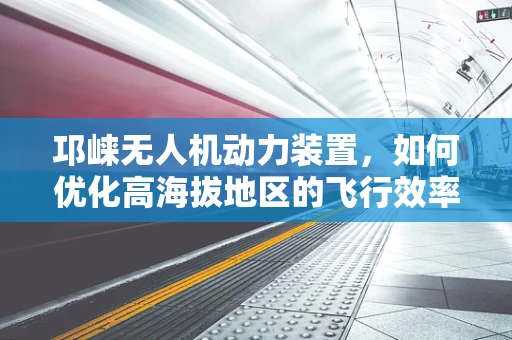 邛崃无人机动力装置，如何优化高海拔地区的飞行效率？