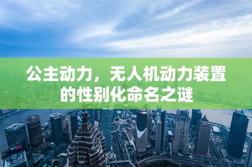 公主动力，无人机动力装置的性别化命名之谜