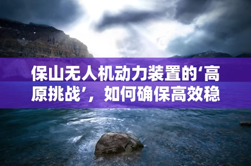 保山无人机动力装置的‘高原挑战’，如何确保高效稳定飞行？