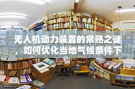 无人机动力装置的常熟之谜，如何优化当地气候条件下的飞行效率？