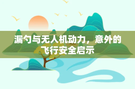 漏勺与无人机动力，意外的飞行安全启示