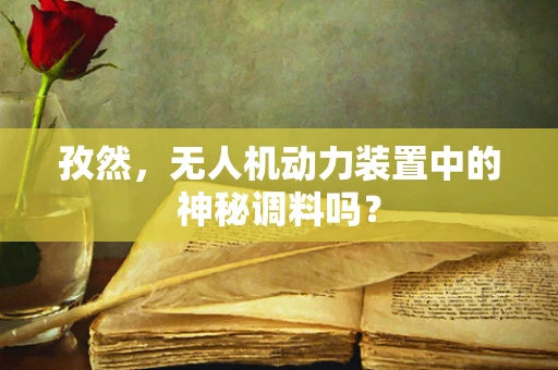 孜然，无人机动力装置中的神秘调料吗？