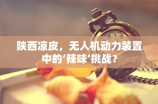 陕西凉皮，无人机动力装置中的‘辣味’挑战？
