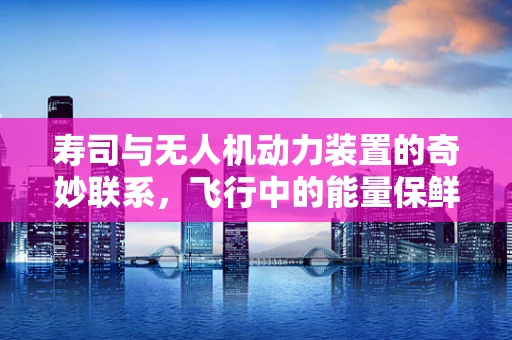 寿司与无人机动力装置的奇妙联系，飞行中的能量保鲜策略
