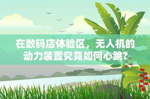在数码店体验区，无人机的动力装置究竟如何心跳?