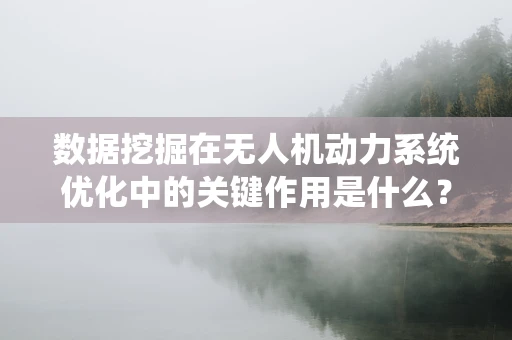 数据挖掘在无人机动力系统优化中的关键作用是什么？