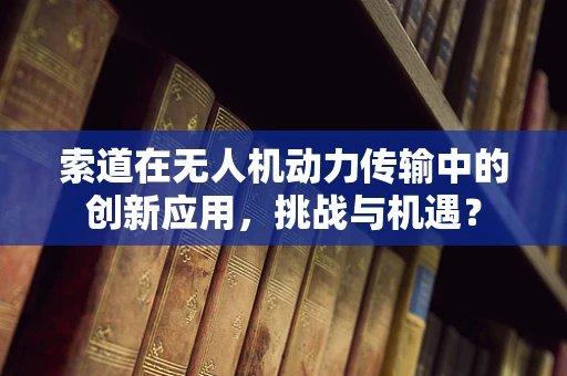 索道在无人机动力传输中的创新应用，挑战与机遇？