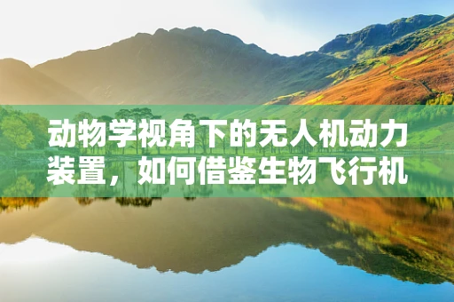 动物学视角下的无人机动力装置，如何借鉴生物飞行机制？