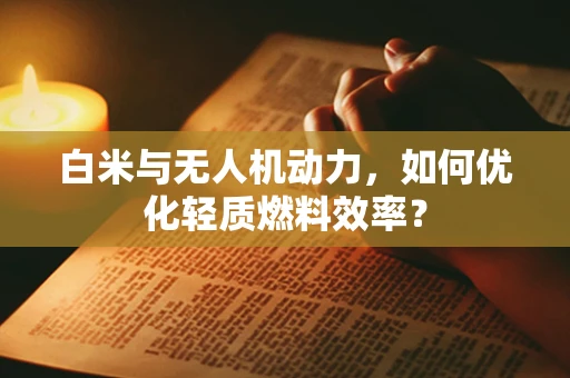 白米与无人机动力，如何优化轻质燃料效率？