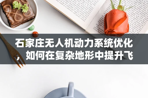 石家庄无人机动力系统优化，如何在复杂地形中提升飞行效率？