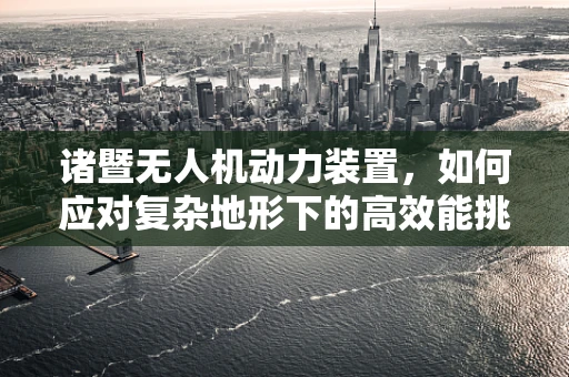 诸暨无人机动力装置，如何应对复杂地形下的高效能挑战？