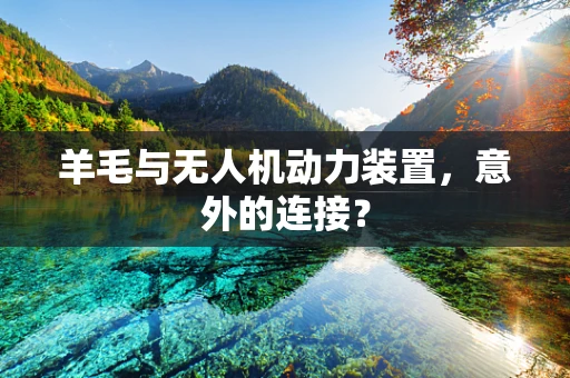 羊毛与无人机动力装置，意外的连接？
