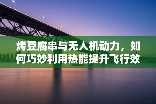 烤豆腐串与无人机动力，如何巧妙利用热能提升飞行效率？