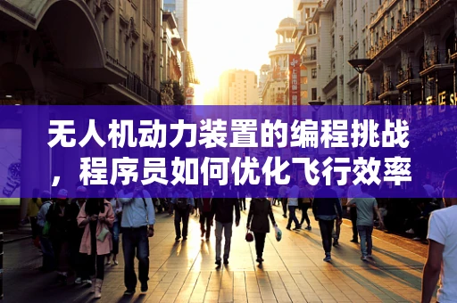 无人机动力装置的编程挑战，程序员如何优化飞行效率？